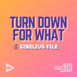 Turn Down for What by Lil Jon for Drumline - Free Drumline Beats.